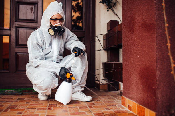 Reliable Bed Bug Control contractor in San Juan Capistrano, CA by Nex Pest Control